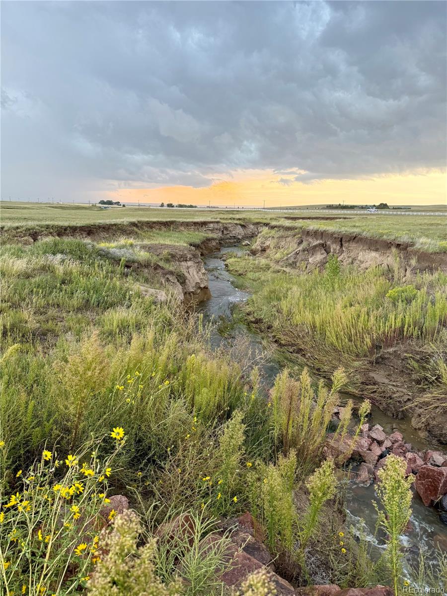 18320 Falcon Highway Peyton CO 80831