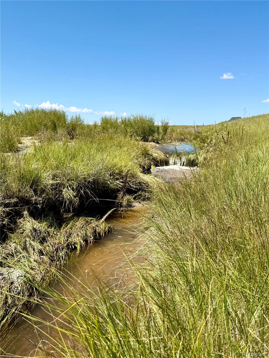 18320 Falcon Highway Peyton CO 80831