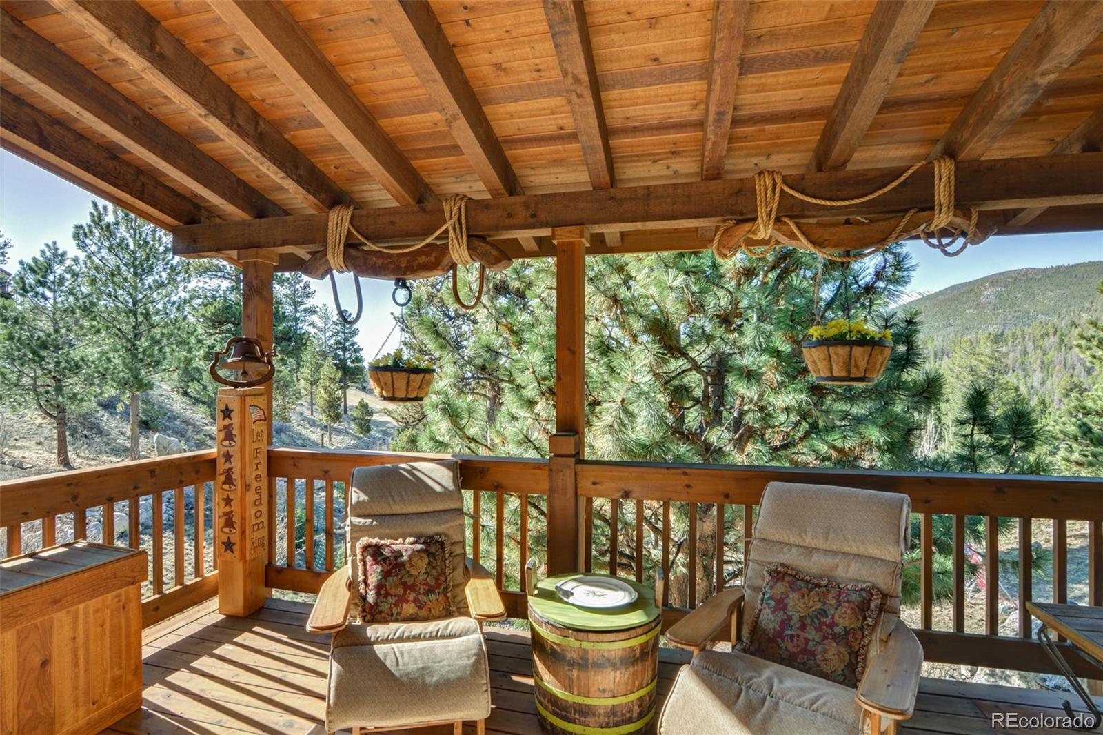 30054 Creek Run Buena Vista CO 81211
