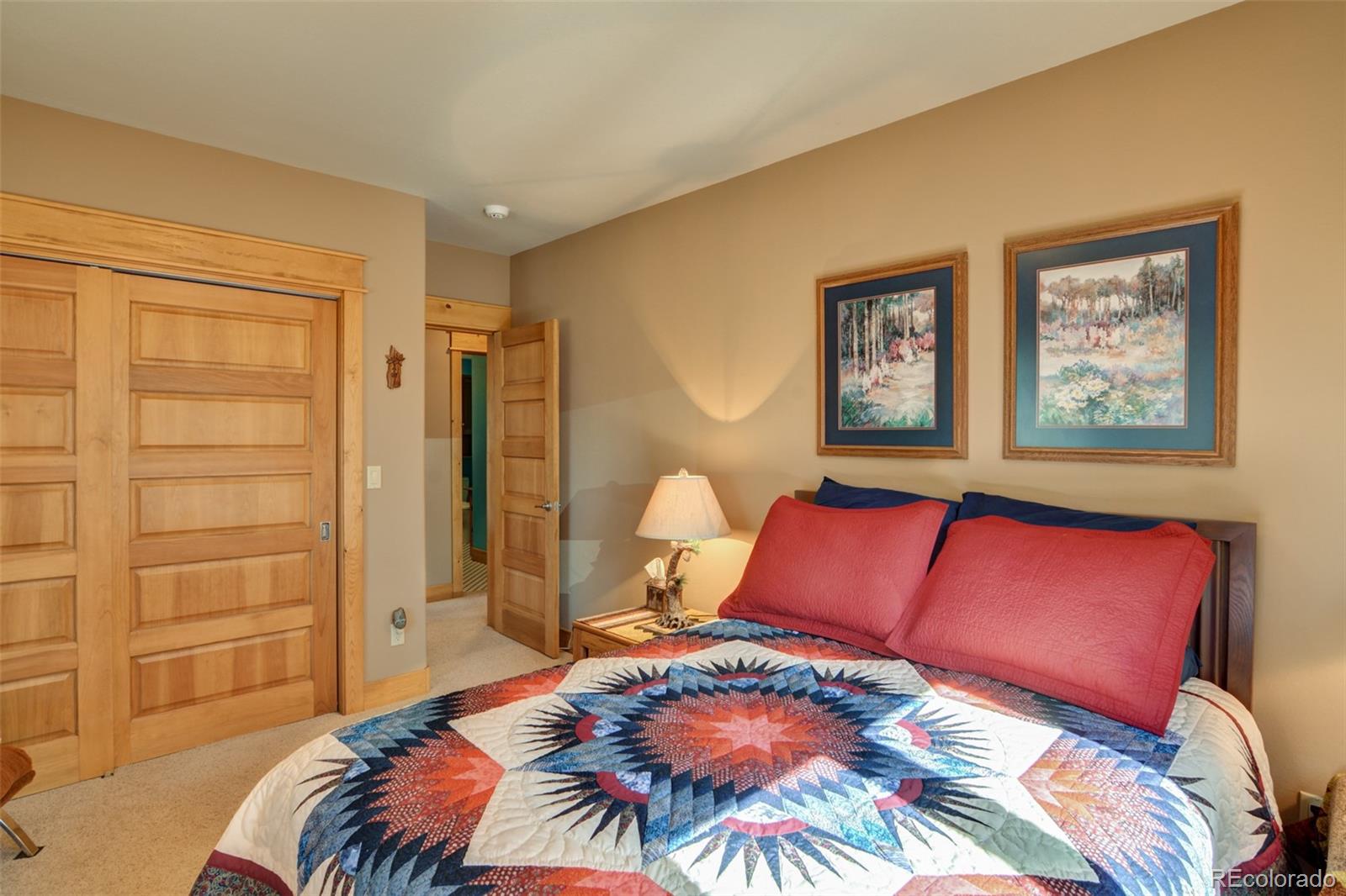 30054 Creek Run Buena Vista CO 81211