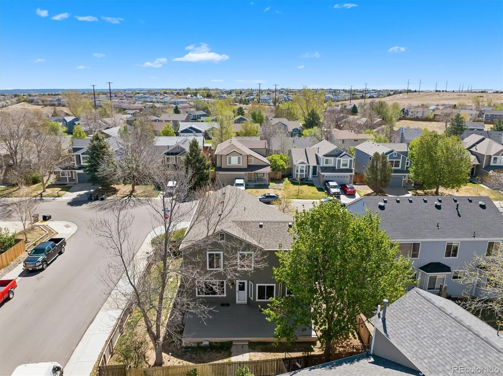 5247 E Hamilton Avenue Castle Rock CO 80104