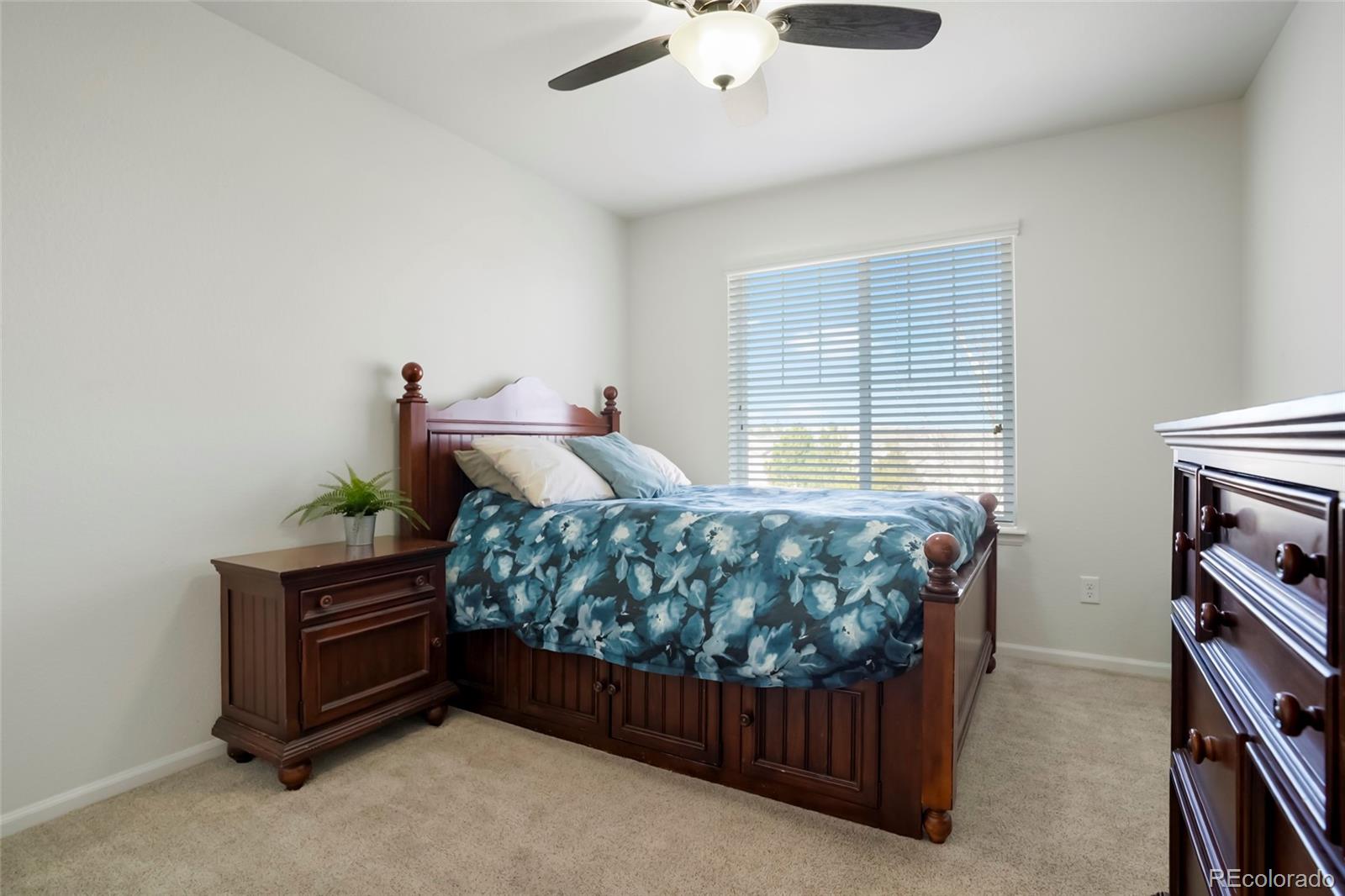3248 Mccracken Lane Castle Rock CO 80104