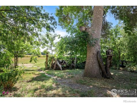 12252 N 75th Street Longmont CO 80503