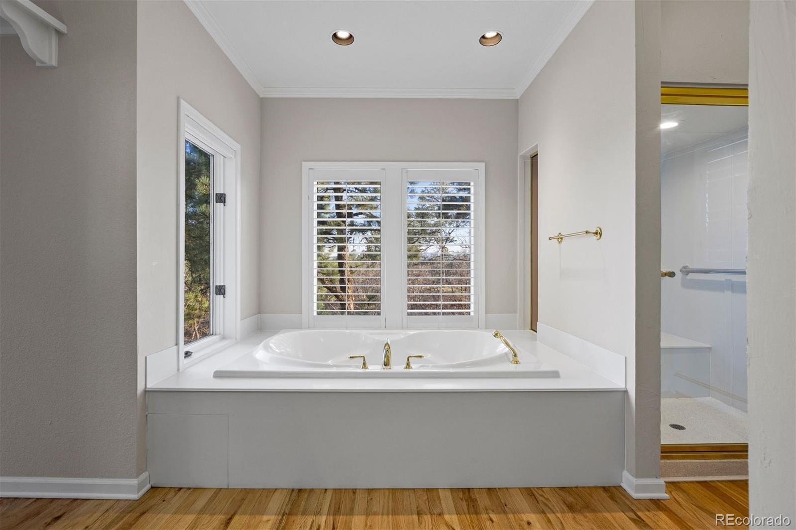 76 Crestone Way Castle Rock CO 80108