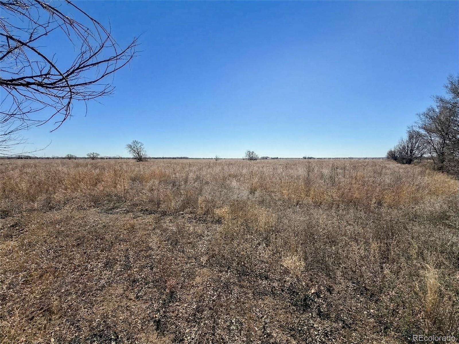 9264 W State Highway 96 Highway Olney Springs CO 81062