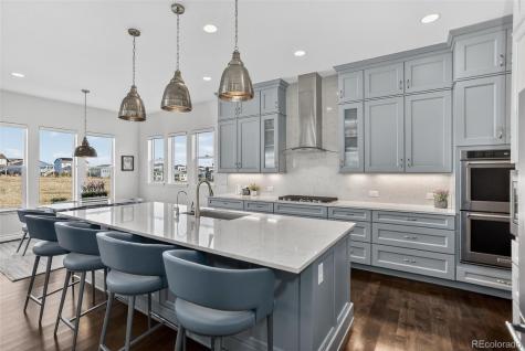 18973 W 94th Lane Arvada CO 80007