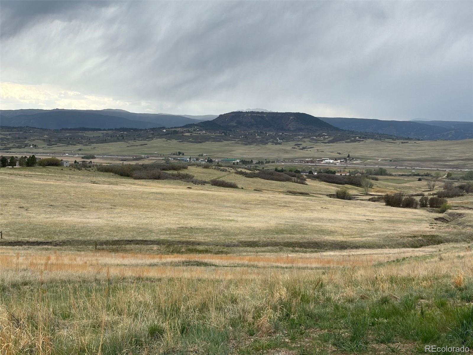 307 Scrubjay Lane Castle Rock CO 80104
