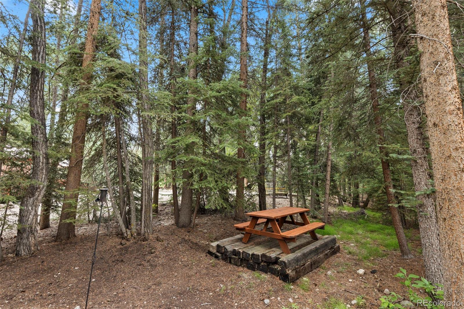 43 Maverick Way Silverthorne CO 80498