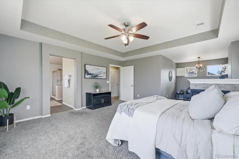 21487 E Idyllwilde Drive Parker CO 80138