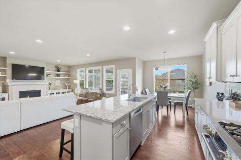 21487 E Idyllwilde Drive Parker CO 80138