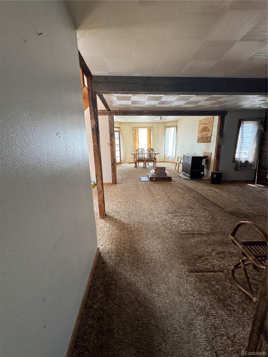 518 E 7th Street Leadville CO 80461