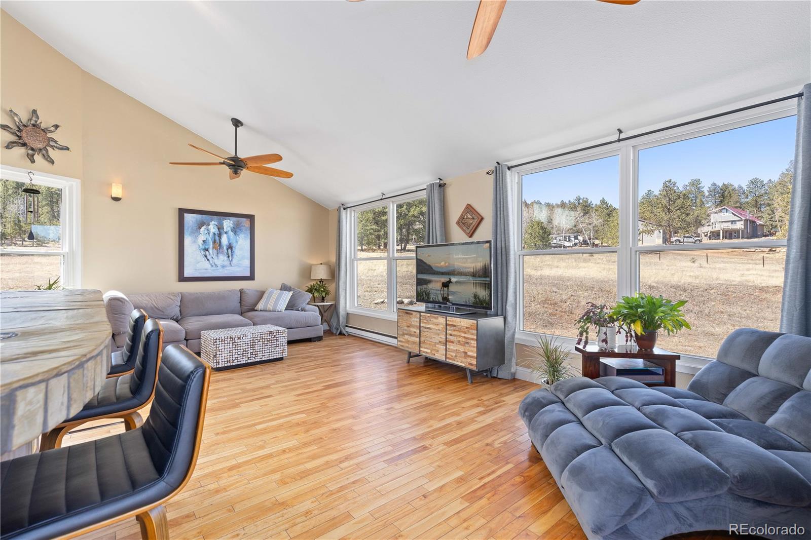 1819 Nova Road Pine CO 80470