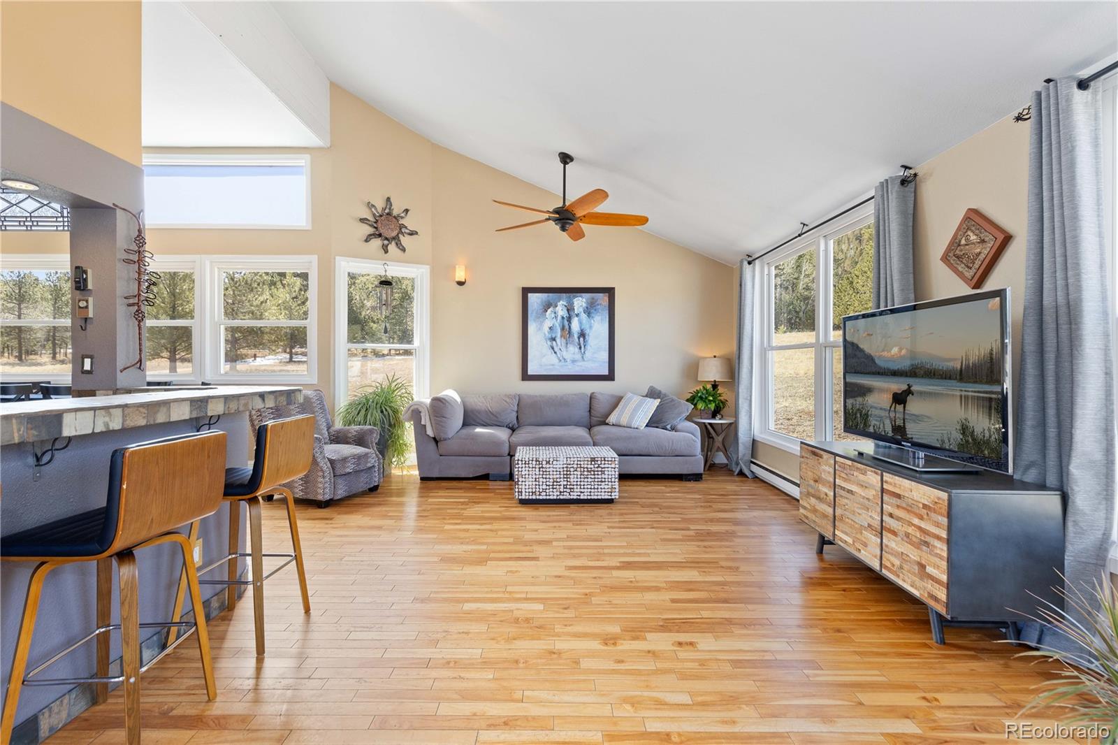 1819 Nova Road Pine CO 80470