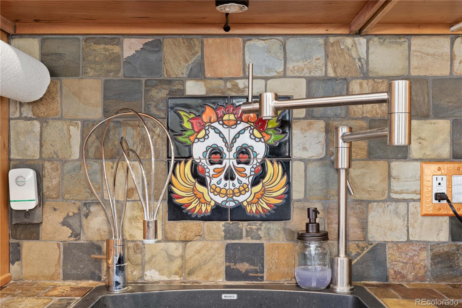 1819 Nova Road Pine CO 80470