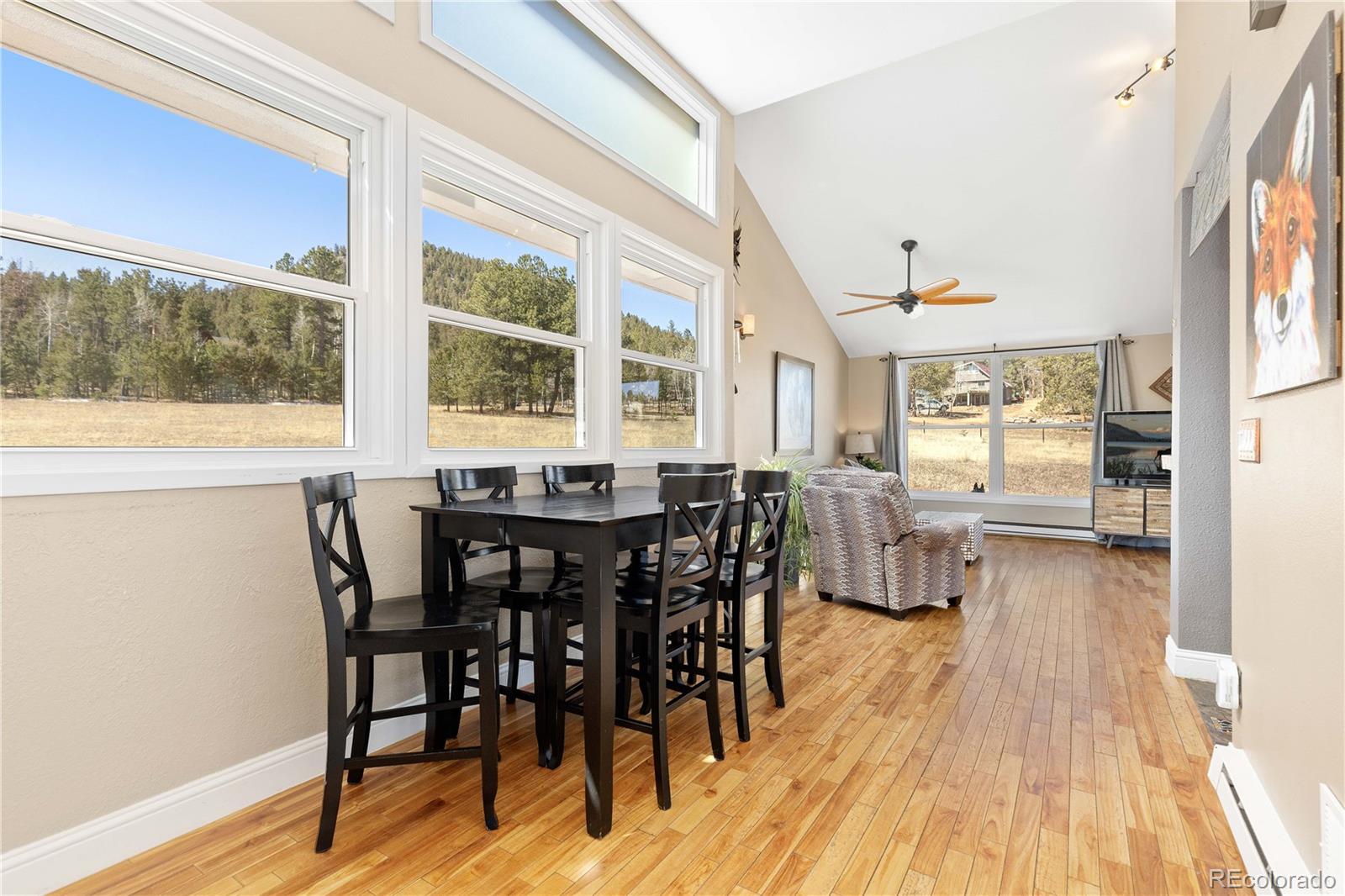 1819 Nova Road Pine CO 80470