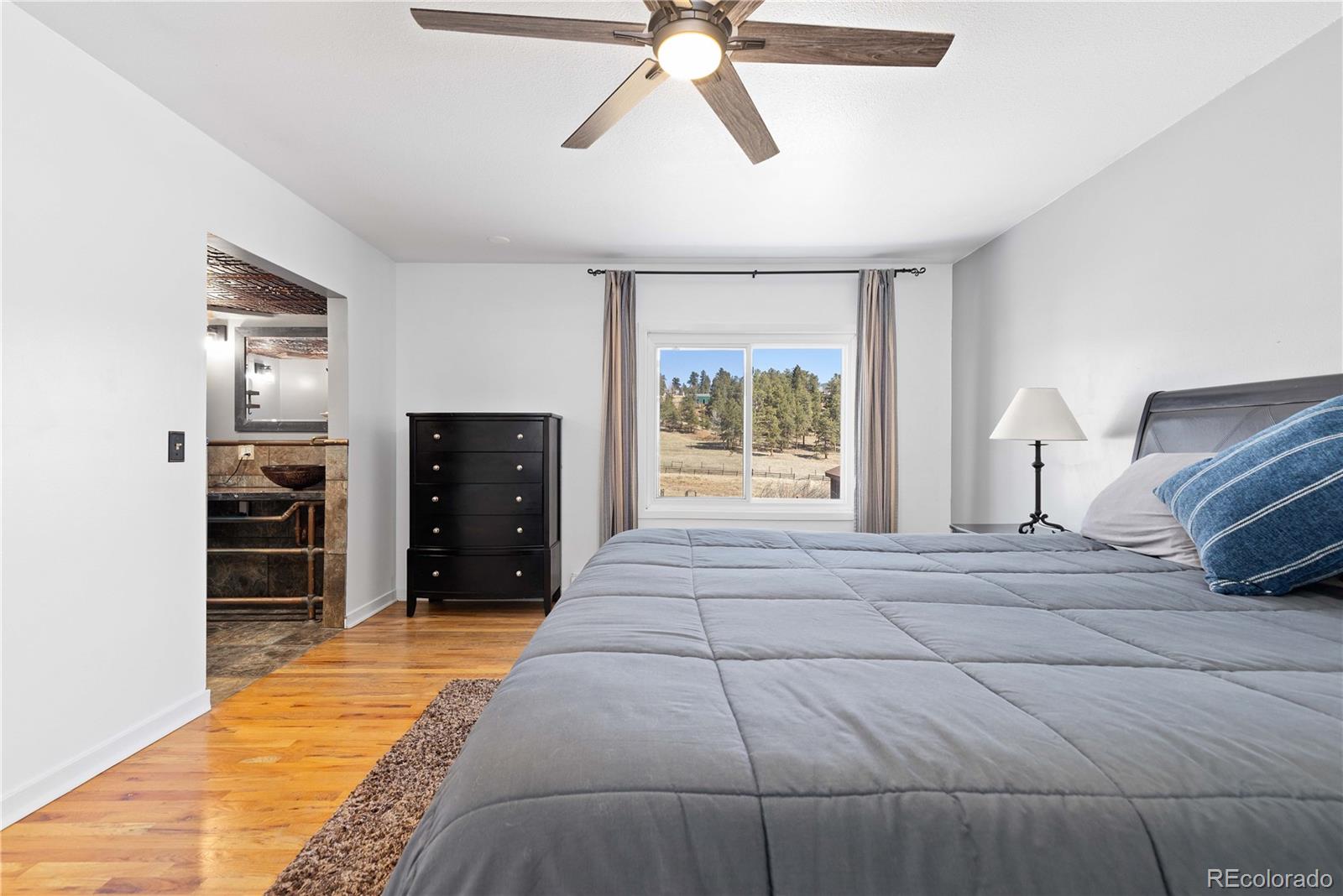 1819 Nova Road Pine CO 80470