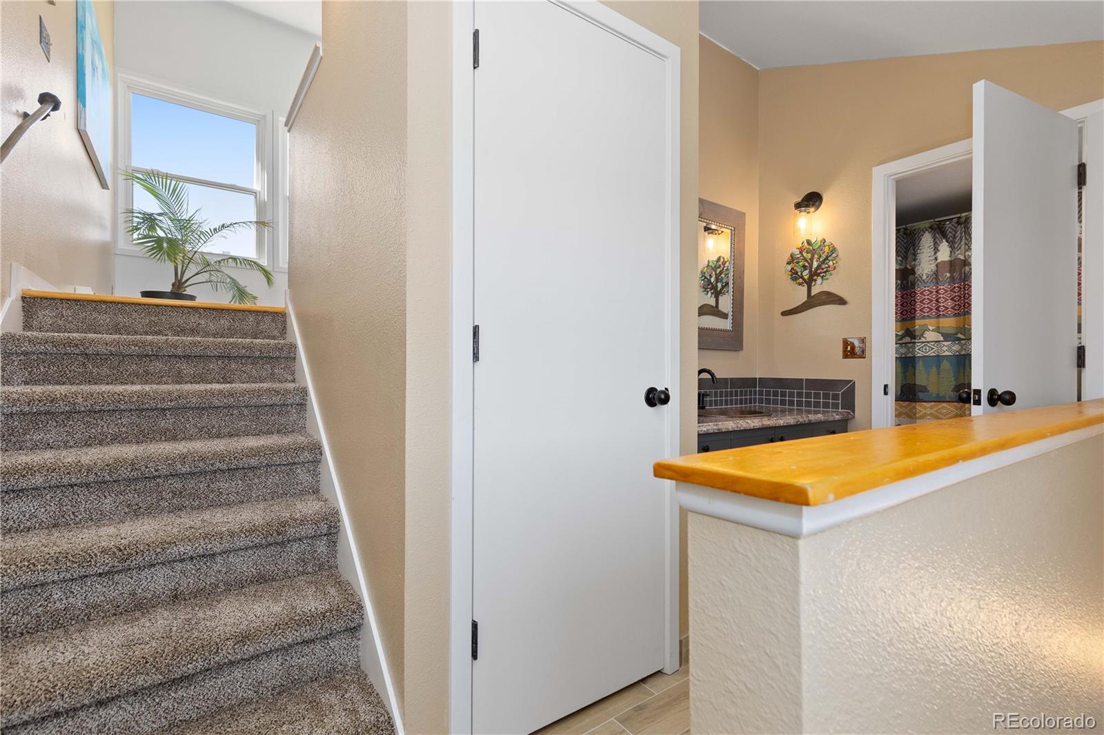 1819 Nova Road Pine CO 80470