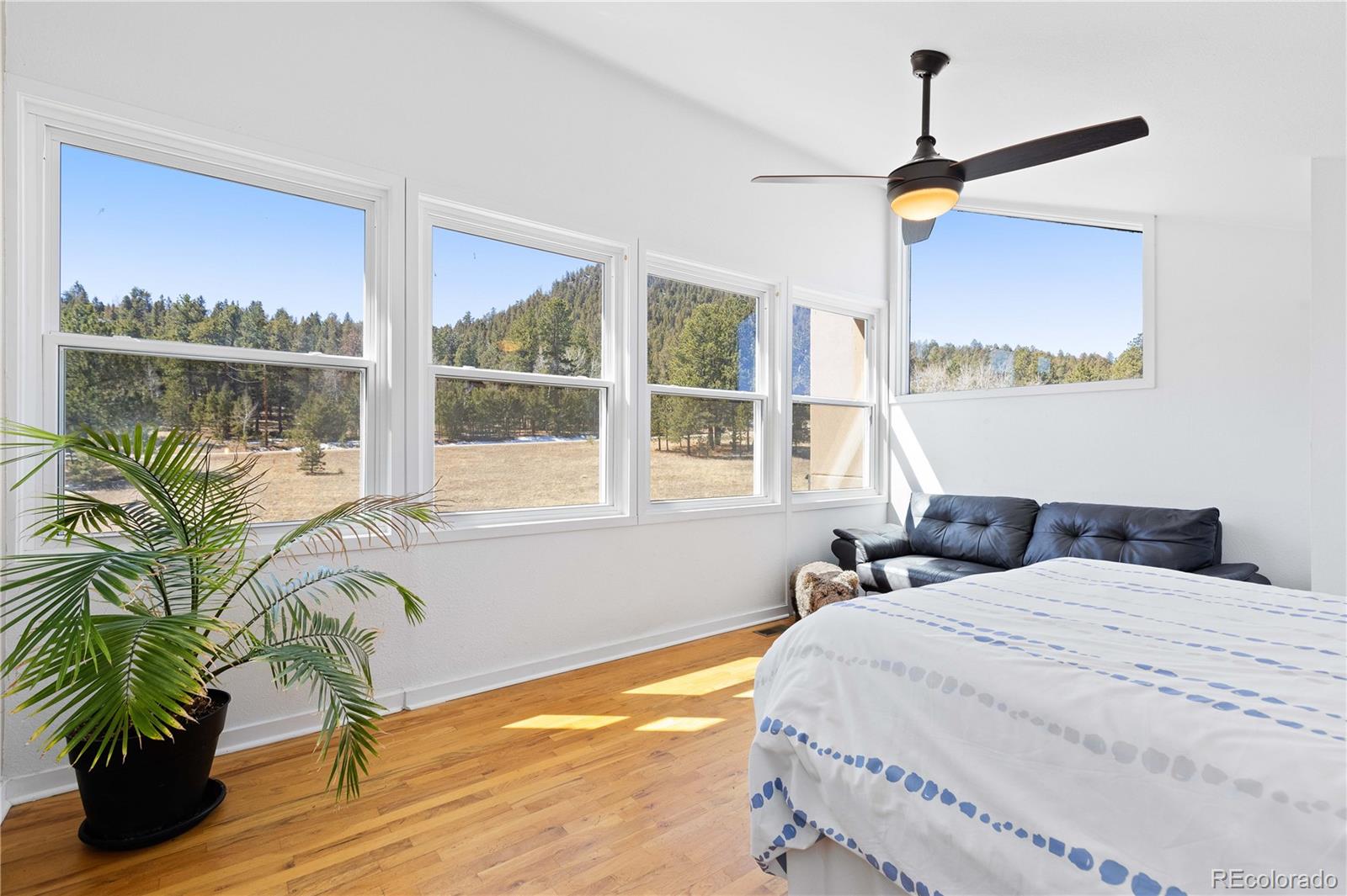 1819 Nova Road Pine CO 80470