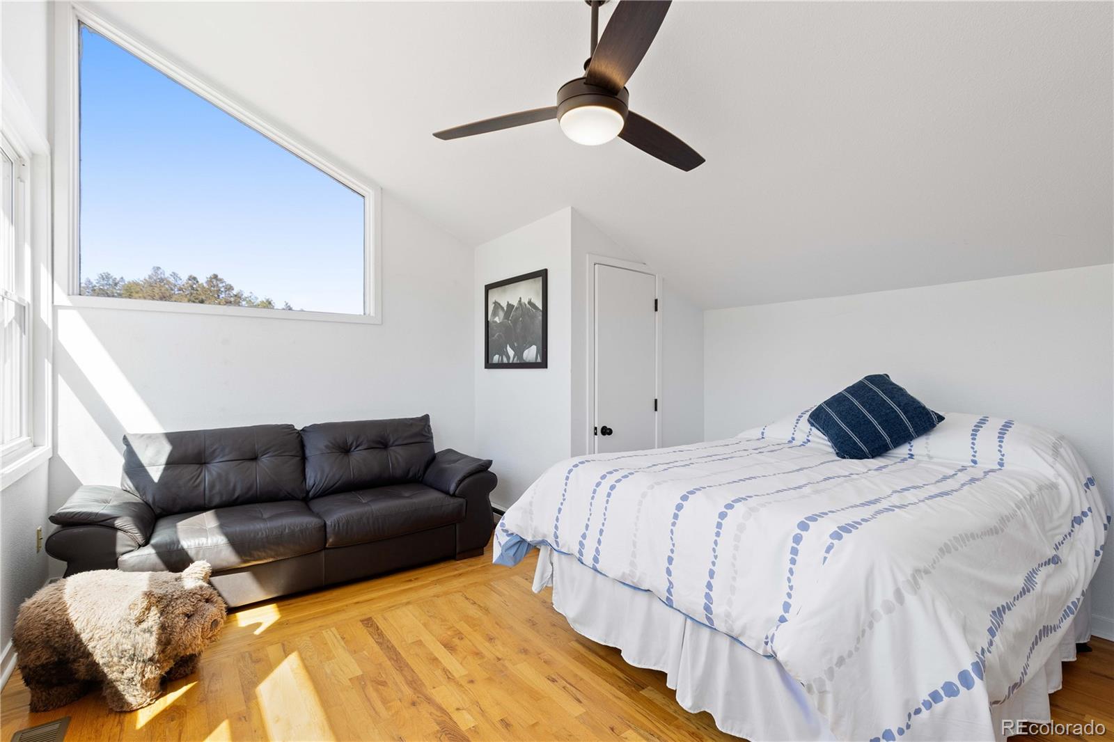 1819 Nova Road Pine CO 80470