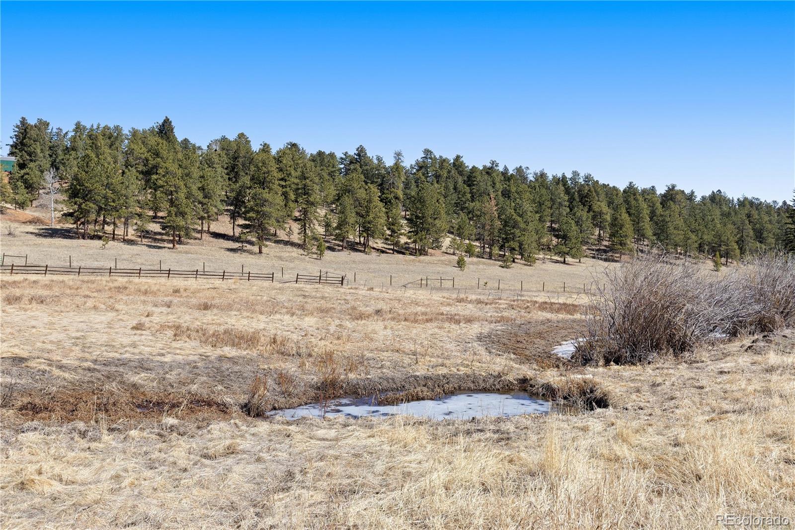1819 Nova Road Pine CO 80470