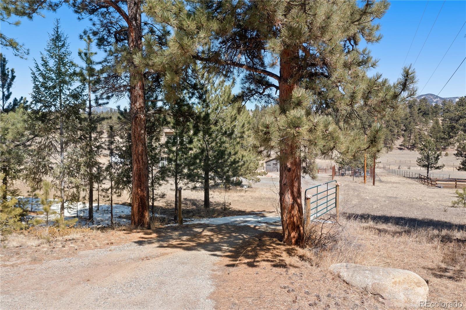 1819 Nova Road Pine CO 80470