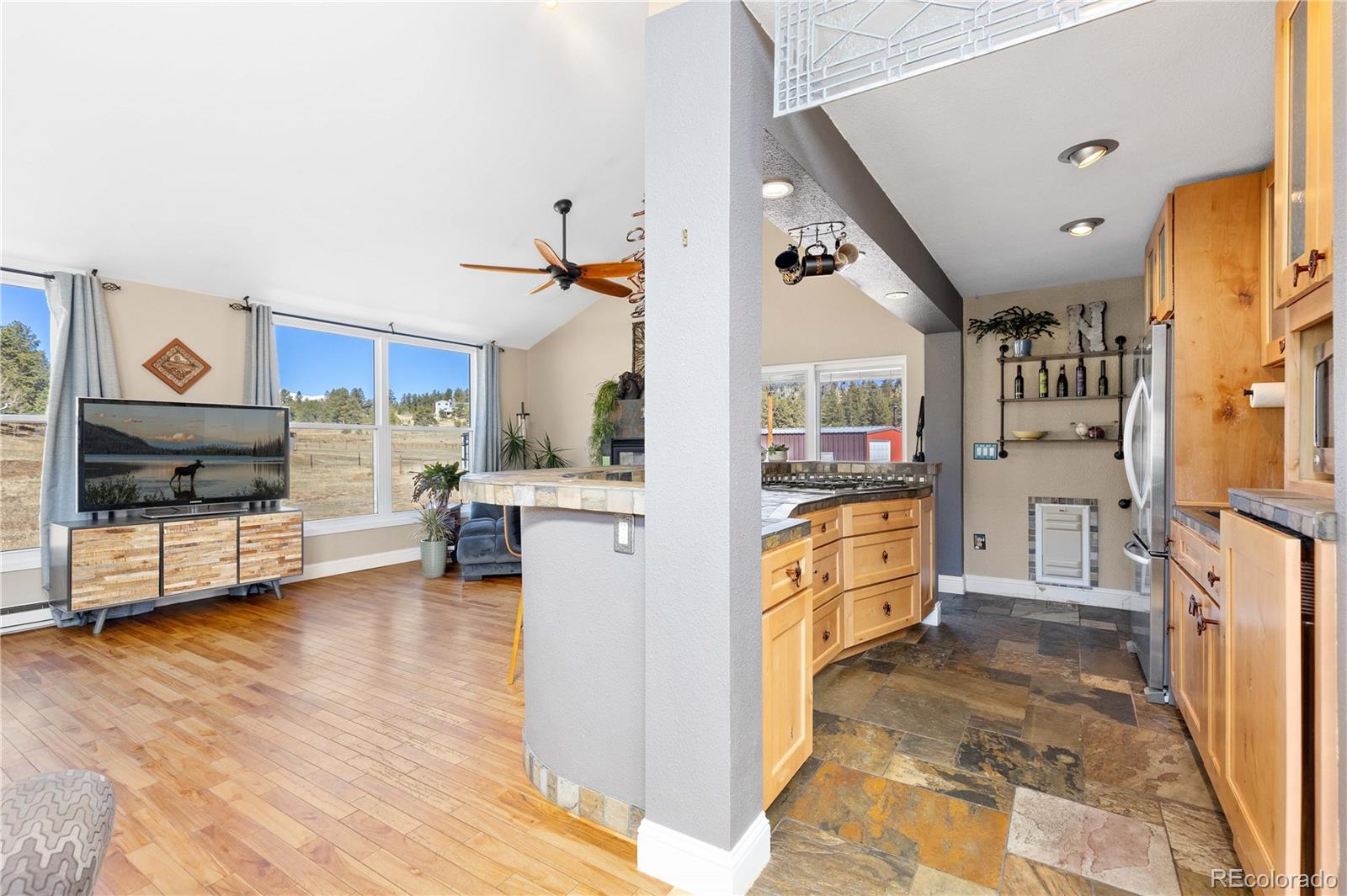 1819 Nova Road Pine CO 80470