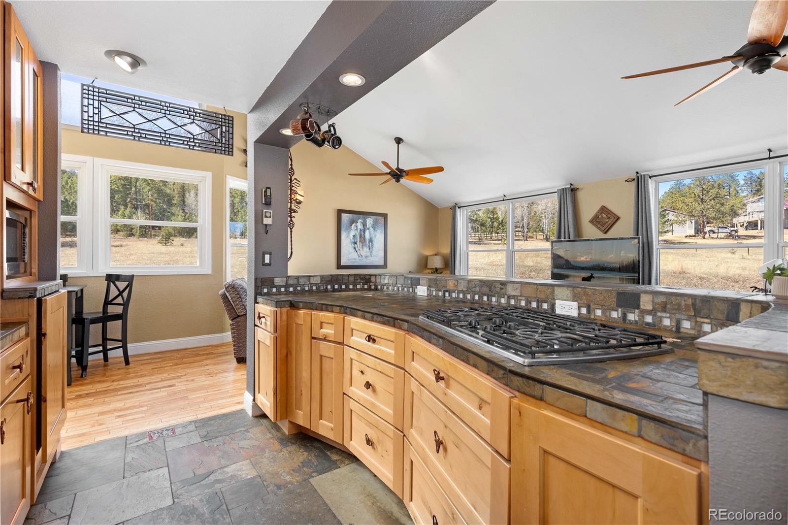 1819 Nova Road Pine CO 80470