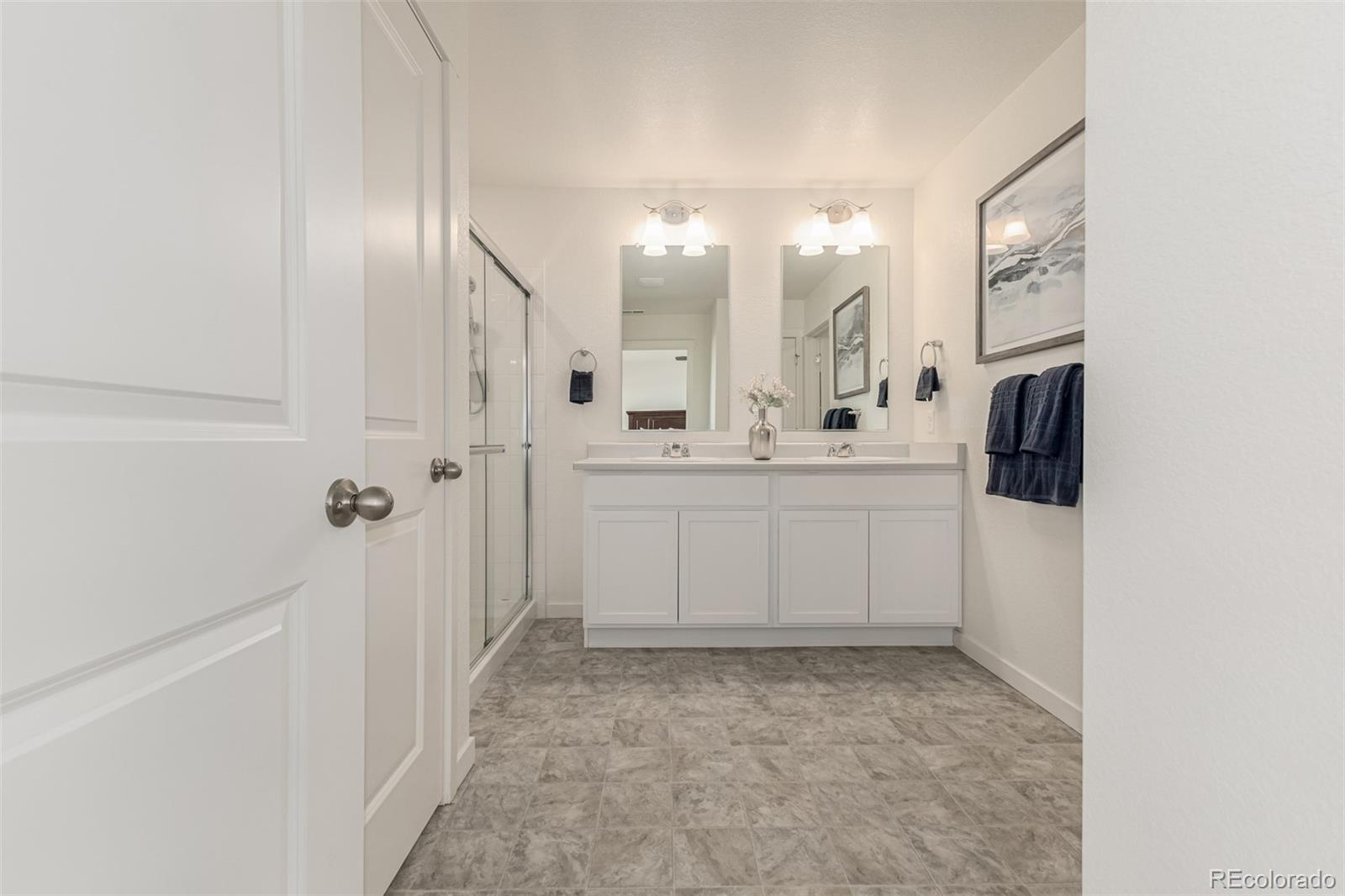 773 N Allium Street Watkins CO 80137