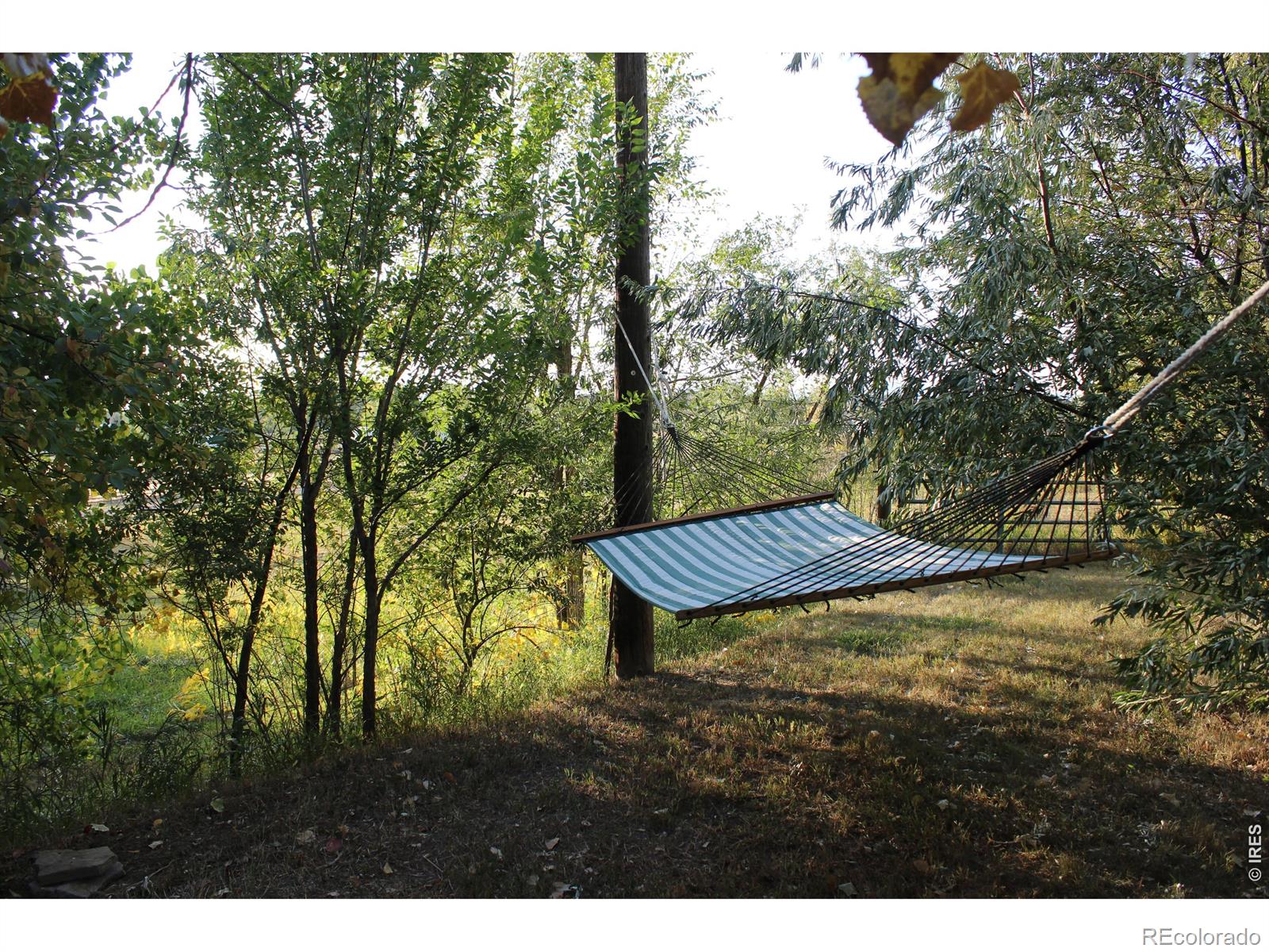 108 E Douglas Road Fort Collins CO 80524