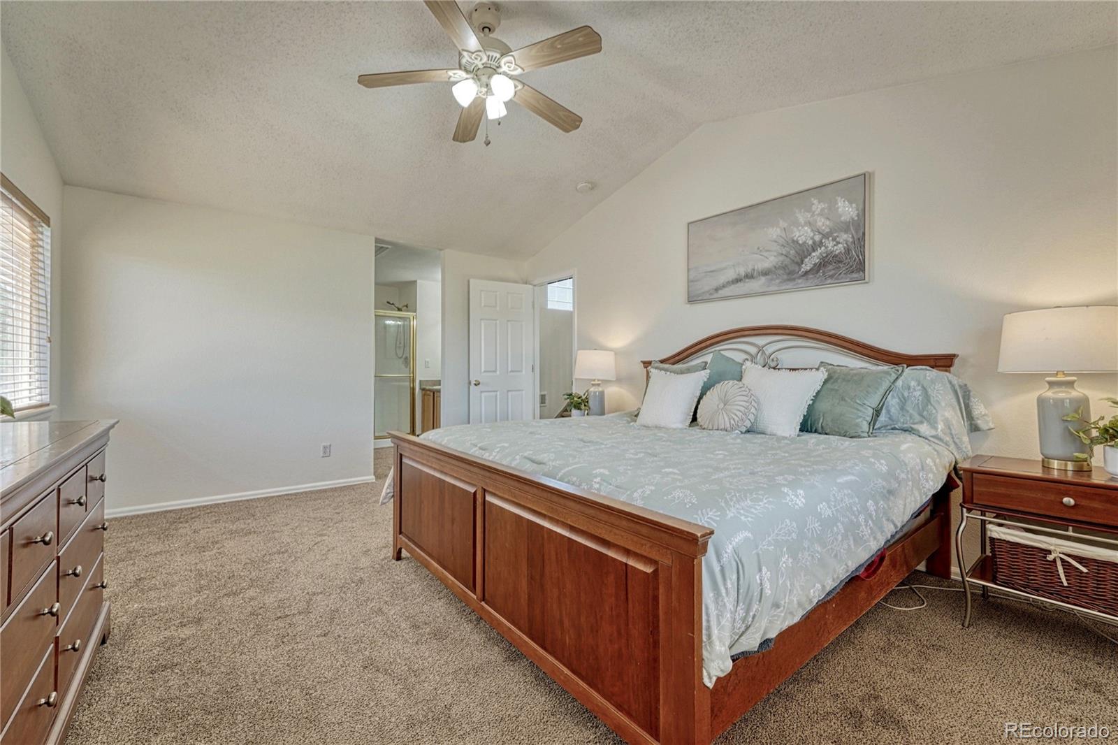 23033 Blackwolf Way Parker CO 80138