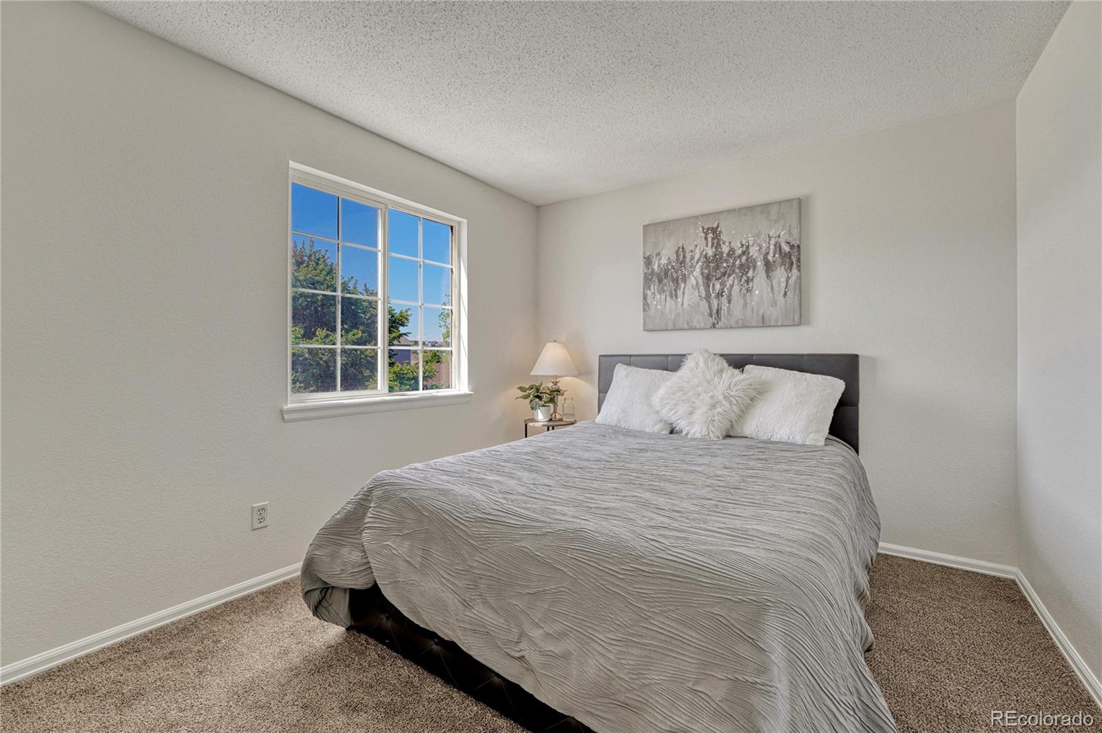 23033 Blackwolf Way Parker CO 80138