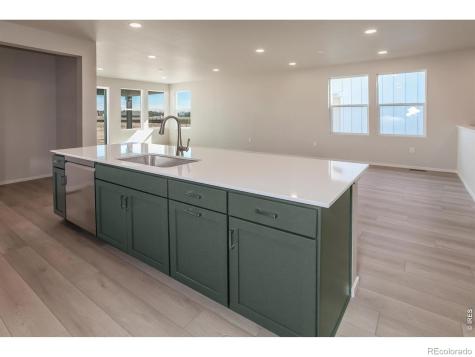 774 Trumpet Court Windsor CO 80550