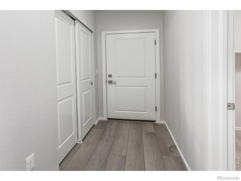 774 Trumpet Court Windsor CO 80550