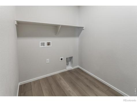 774 Trumpet Court Windsor CO 80550