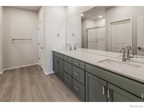 774 Trumpet Court Windsor CO 80550