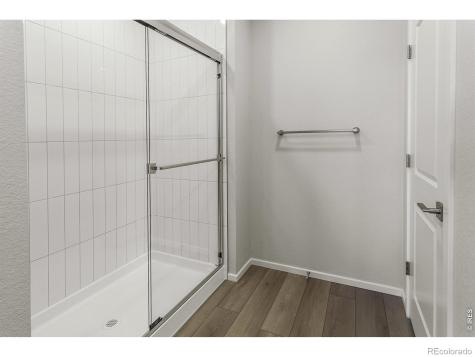 774 Trumpet Court Windsor CO 80550