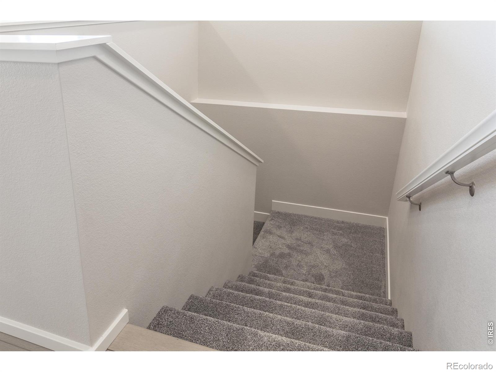 774 Trumpet Court Windsor CO 80550