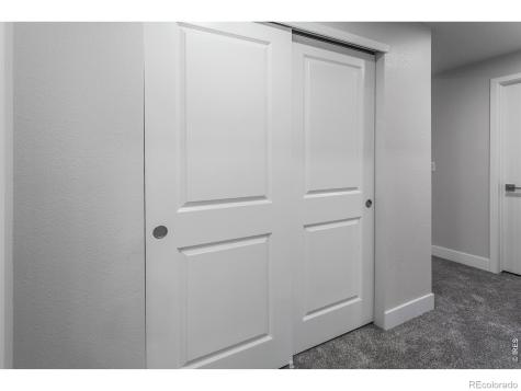 774 Trumpet Court Windsor CO 80550