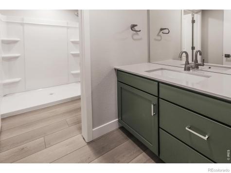 774 Trumpet Court Windsor CO 80550