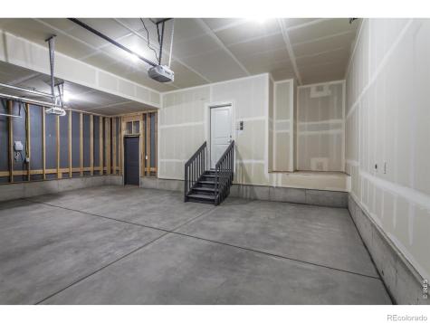 774 Trumpet Court Windsor CO 80550