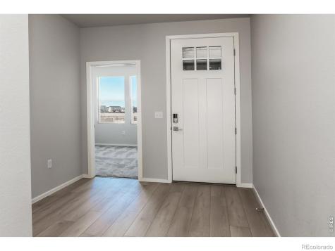 774 Trumpet Court Windsor CO 80550