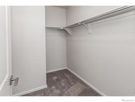 774 Trumpet Court Windsor CO 80550