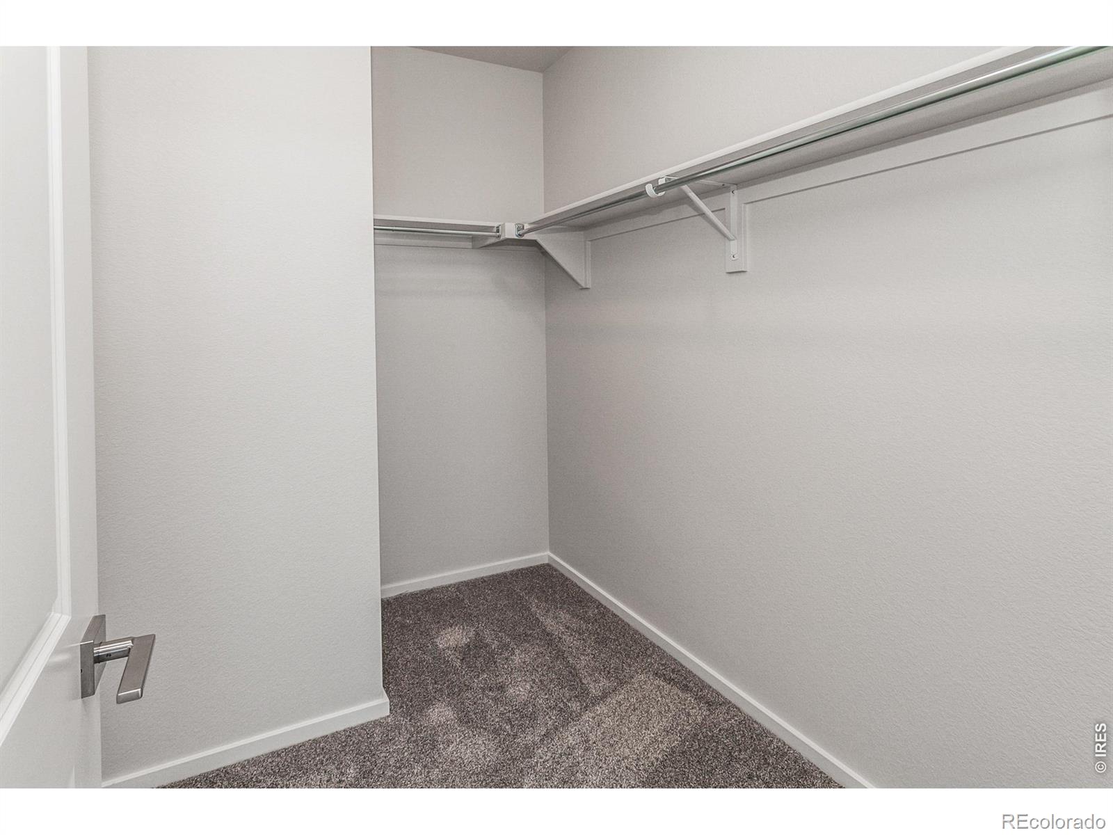 774 Trumpet Court Windsor CO 80550