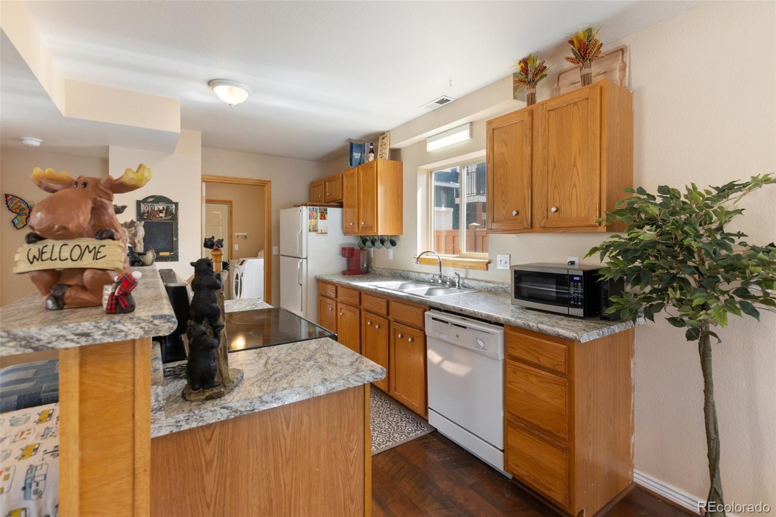 509 N Center Street Woodland Park CO 80863