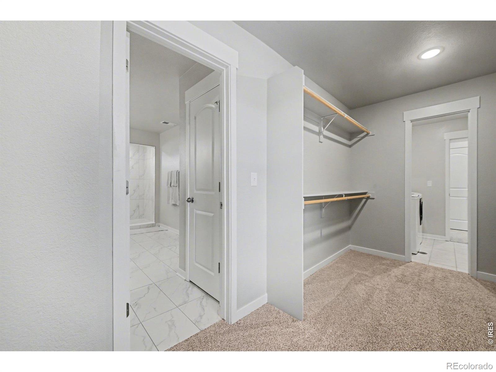 4490 Haymill Court Timnath CO 80547