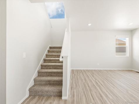 1601 Colorado River Drive Windsor CO 80550