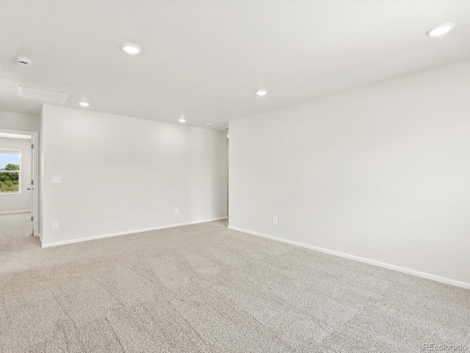 1601 Colorado River Drive Windsor CO 80550