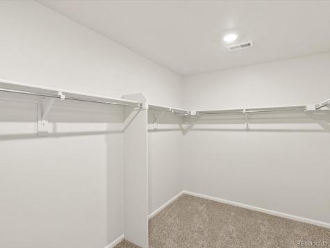 1601 Colorado River Drive Windsor CO 80550