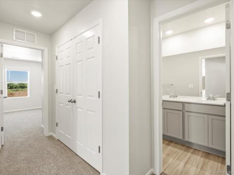 1601 Colorado River Drive Windsor CO 80550