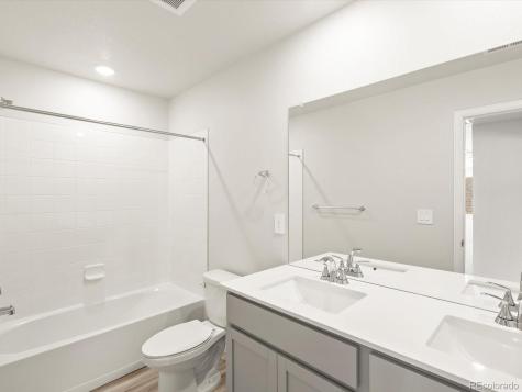 1601 Colorado River Drive Windsor CO 80550